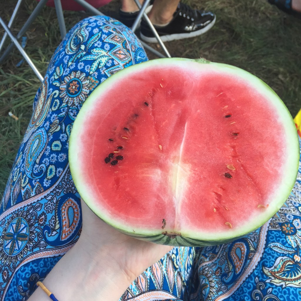 Helene Beach Festival&nbsp;2015