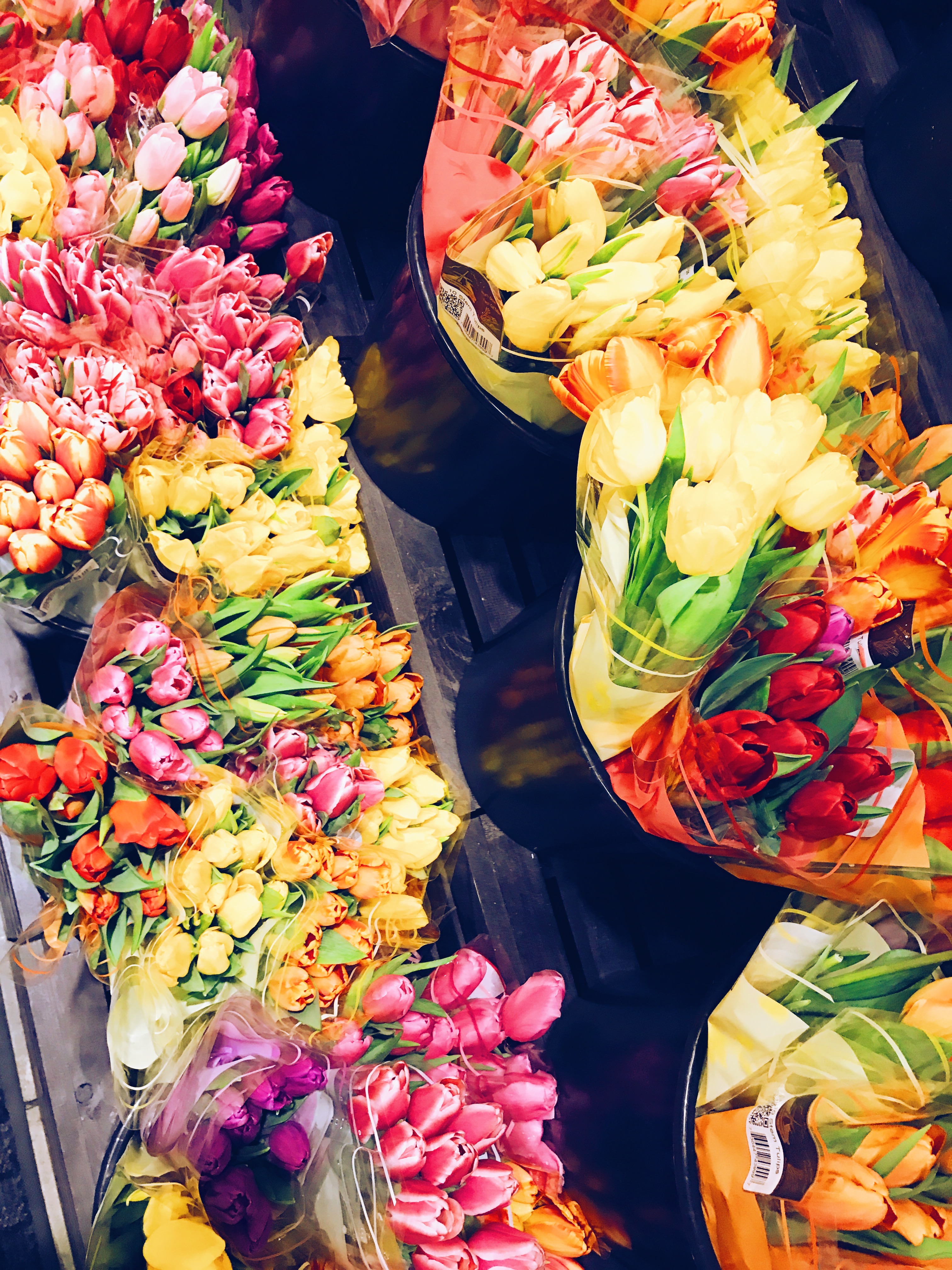 Processed with VSCO with a5 preset