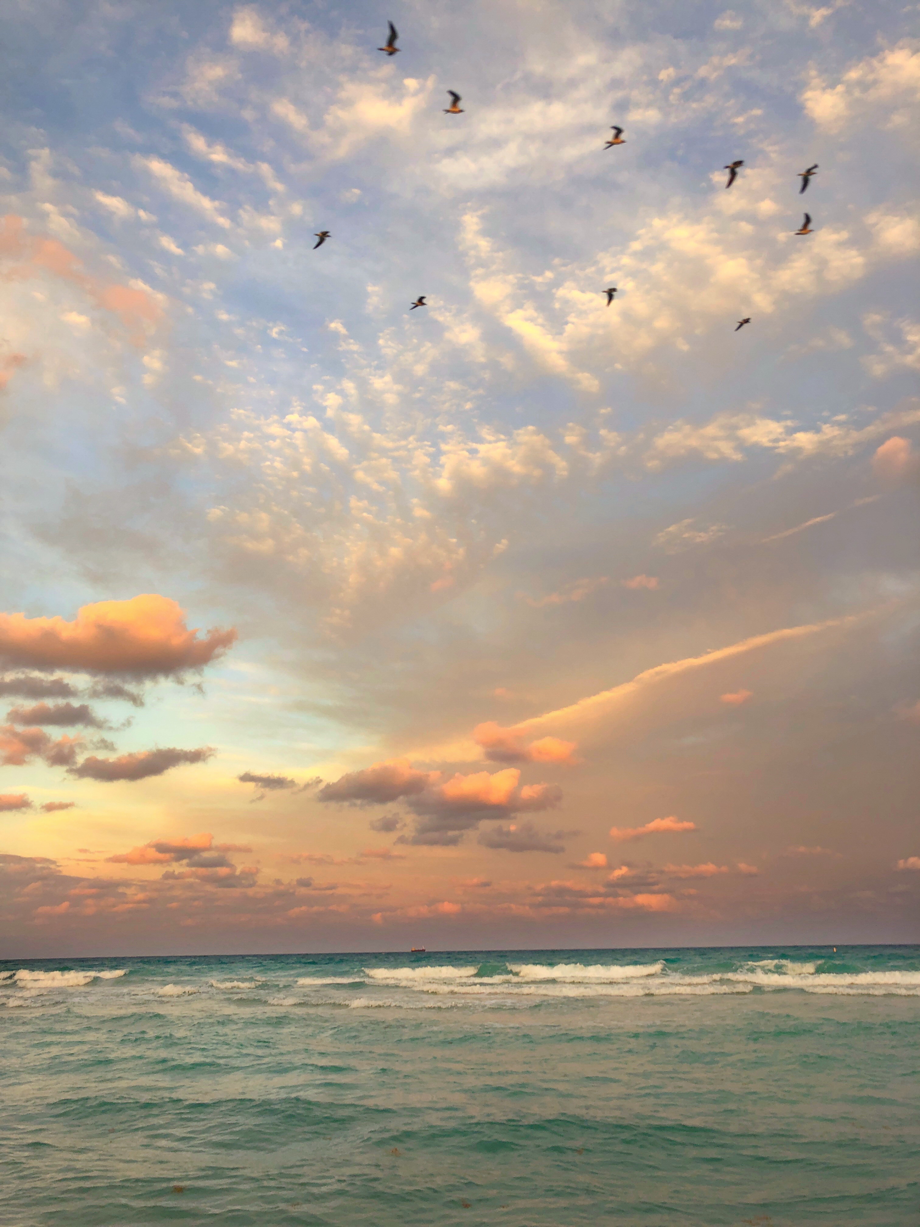 AA4383F1-0CA2-4F16-A204-7A92FA48794B